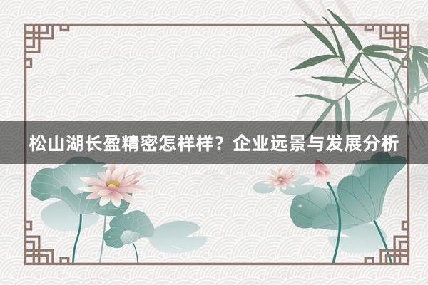 松山湖长盈精密怎样样？企业远景与发展分析