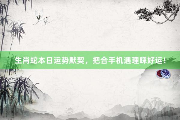 生肖蛇本日运势默契，把合手机遇理睬好运！